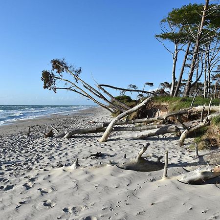 Strandhafer An Der Seebruecke Zingst Extérieur photo